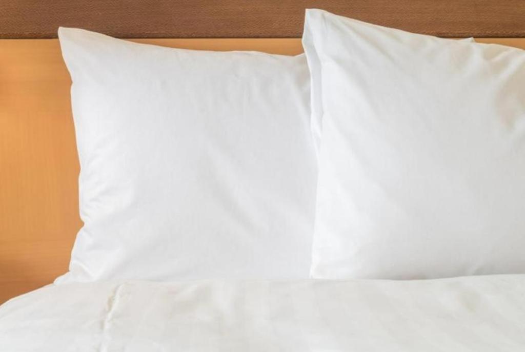 Holiday Inn Express Camden Hotel By Ihg Ngoại thất bức ảnh