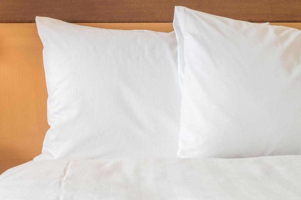 Holiday Inn Express Camden Hotel By Ihg Ngoại thất bức ảnh